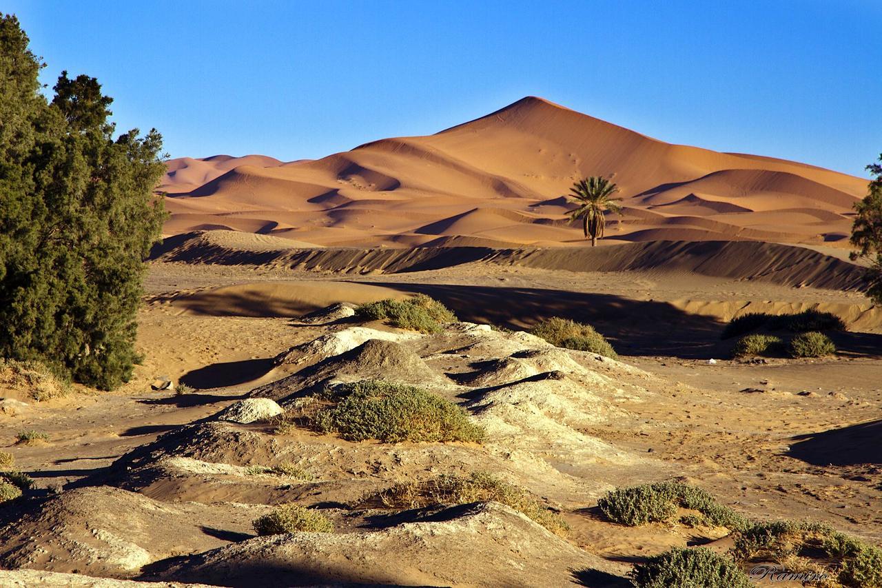 Riadsuerteloca Merzouga Hassilabied Exterior foto The Sahara Desert